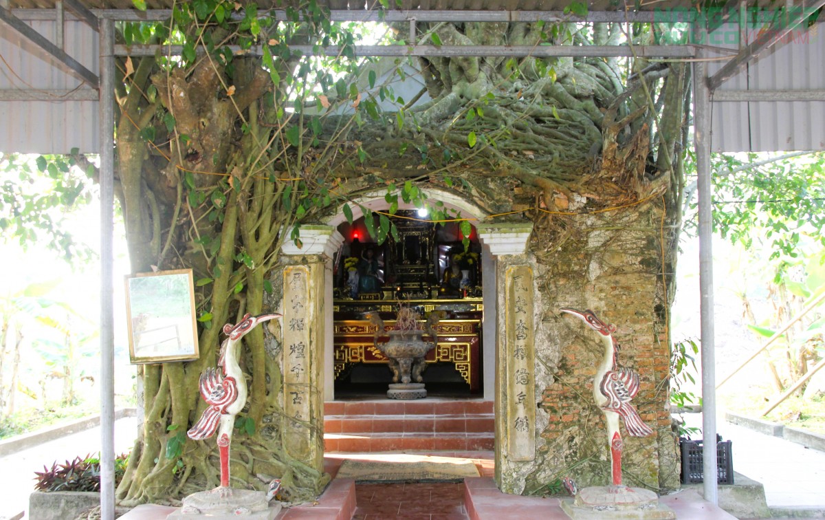 Linh thiêng Đền Canh đến huyền tích “Ông Cụt bàu Canh, ông Lành bàu Ác”