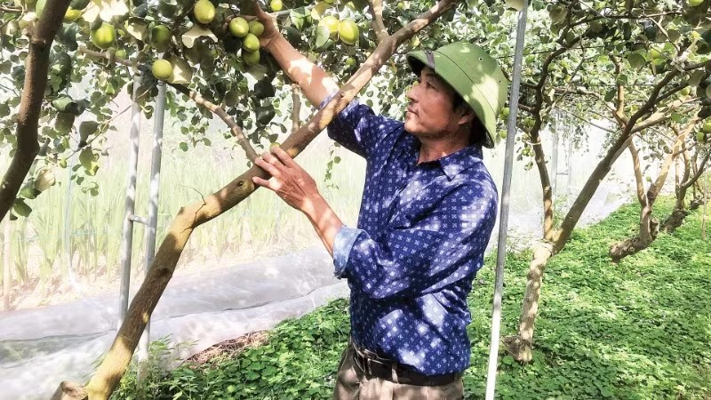 Ứng dụng khoa học công nghệ vào sản xuất nông nghiệp