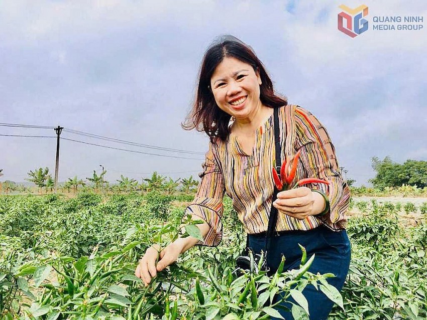 Mô hình nông nghiệp sạch: Sức bật bền vững cho nhiều hợp tác xã tại Quảng Ninh