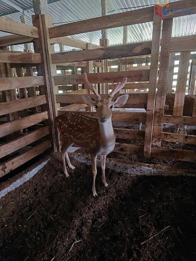 Mô hình nông nghiệp sạch: Sức bật bền vững cho nhiều hợp tác xã tại Quảng Ninh