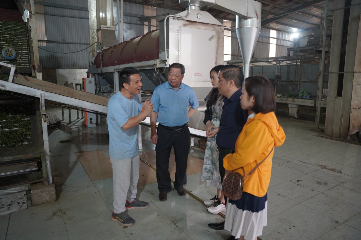 Kết nối giải bài toán phát triển nông nghiệp hữu cơ tại Sơn La