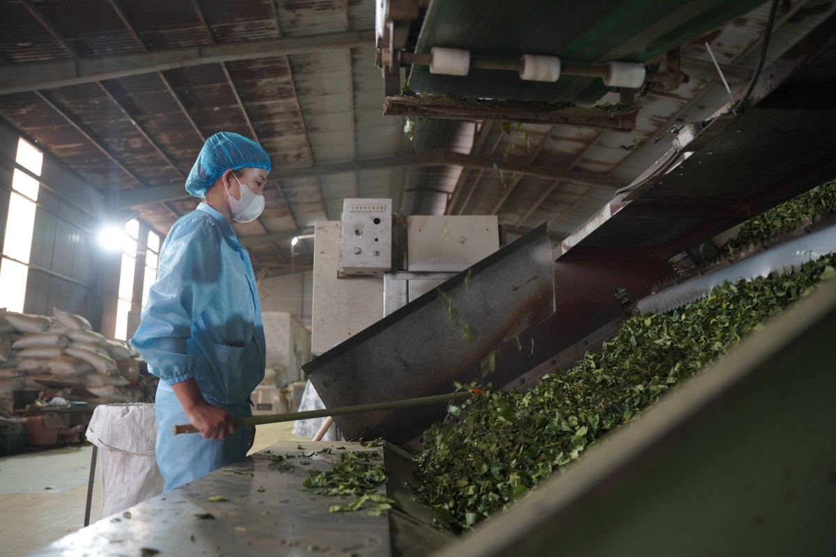 Kết nối giải bài toán phát triển nông nghiệp hữu cơ tại Sơn La