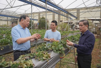 Phát động bình chọn các điển hình tiên tiến phát triển nông nghiệp hữu cơ Việt Nam năm 2026