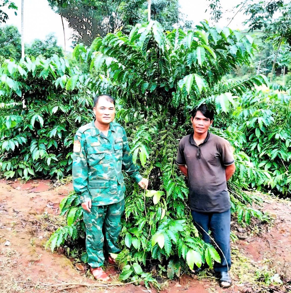 Gia Lai: Khơi nội lực, gắn giảm nghèo với xây dựng nông thôn mới