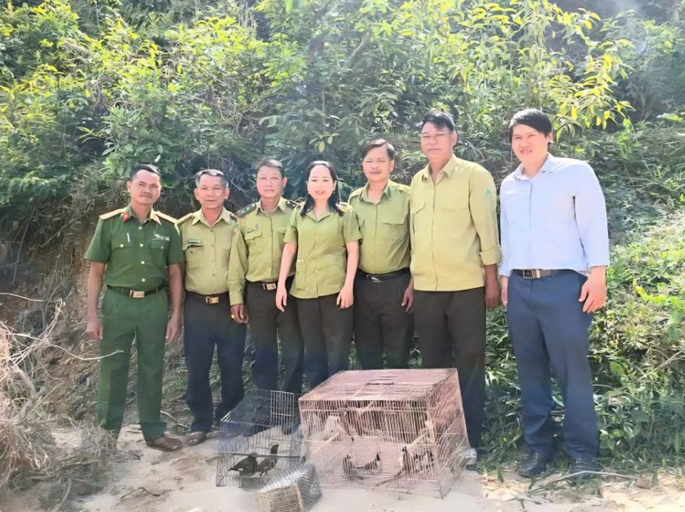 Gia Lai: Siết chặt quản lý, bảo vệ động vật hoang dã