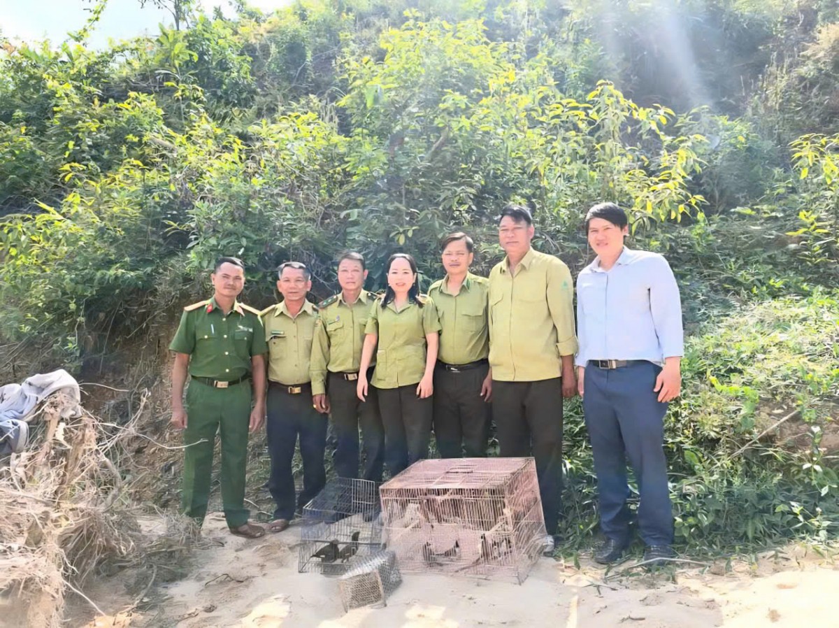 Gia Lai: Siết chặt quản lý, bảo vệ động vật hoang dã