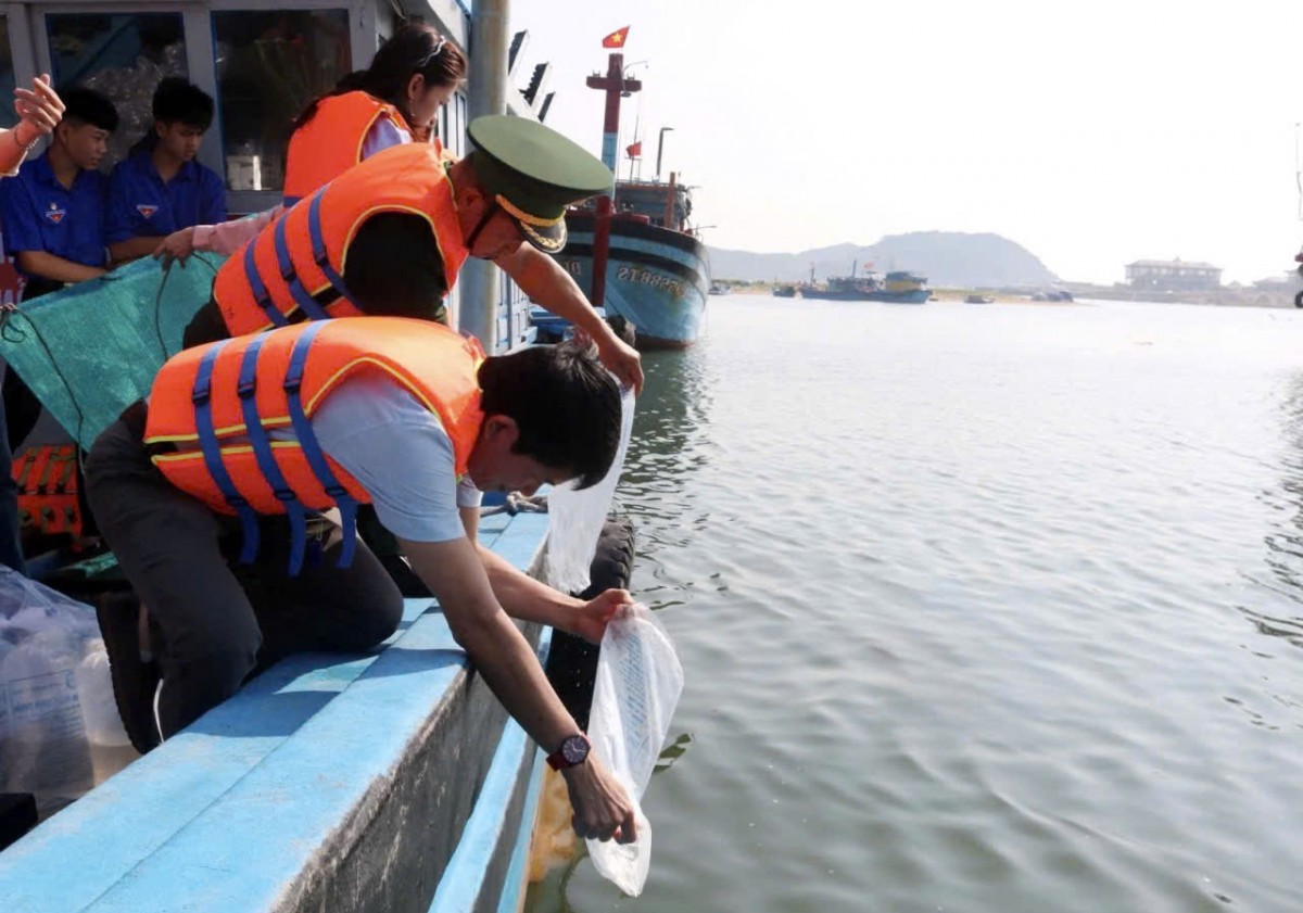 Đắk Lắk: Thả 1 triệu con tôm sú giống nhằm tái tạo nguồn lợi thủy sản