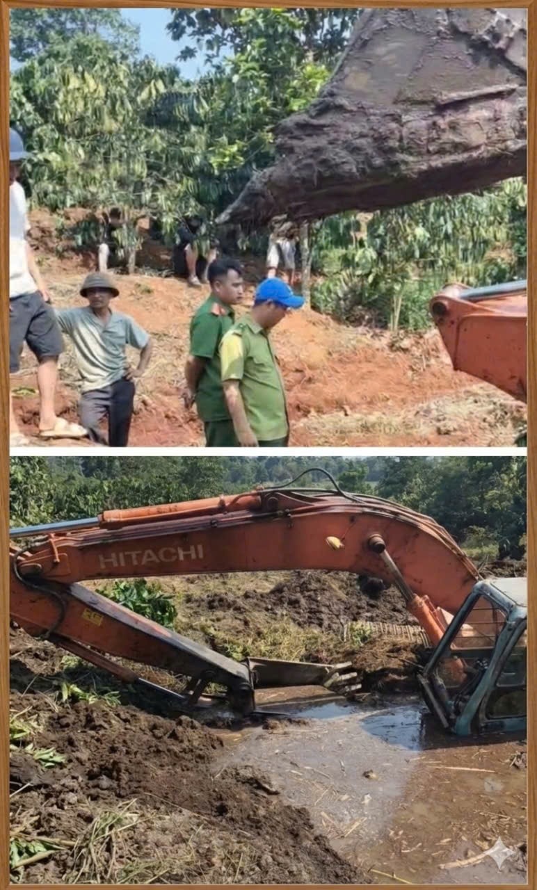 Lâm Đồng: Tăng cường tuyên truyền, xử lý việc lấn chiếm đất lâm nghiệp và khai thác khoáng sản trái phép