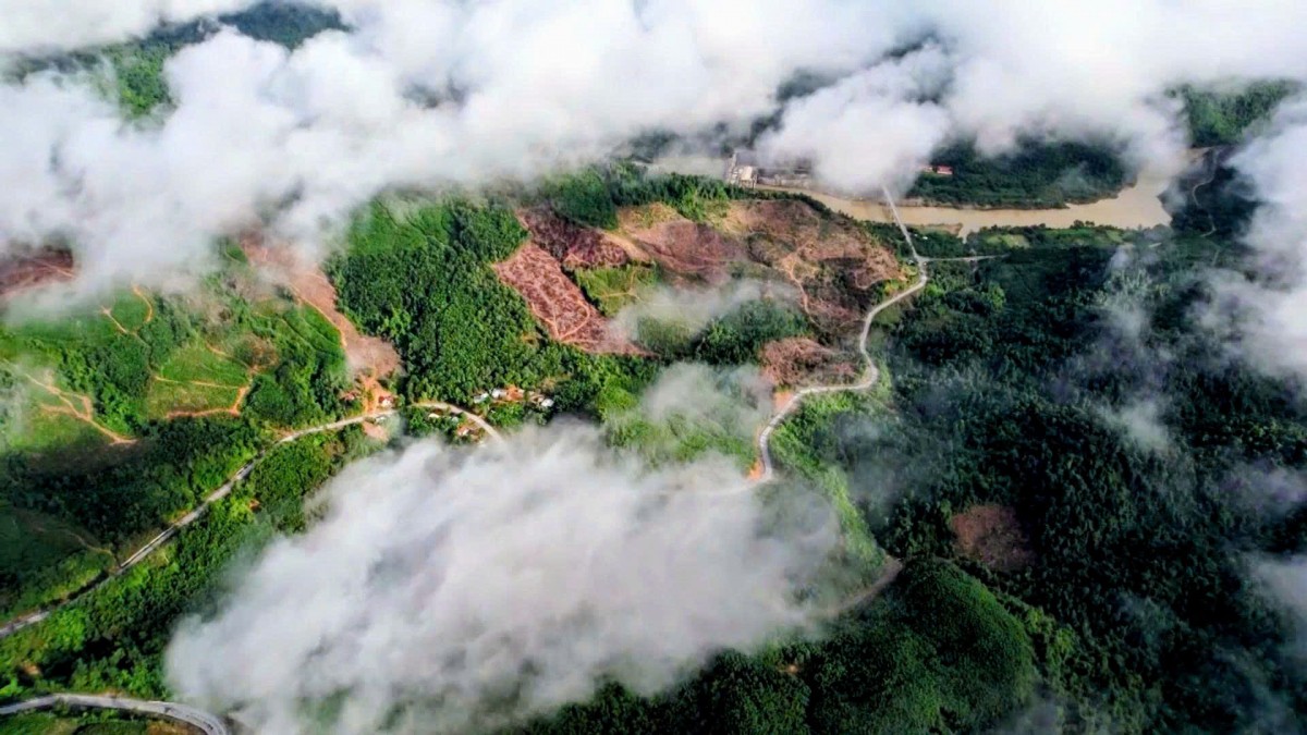 Xã Thạnh Mỹ (TP Đà Nẵng) vững vàng vượt khó, bứt phá phát triển kinh tế - xã hội