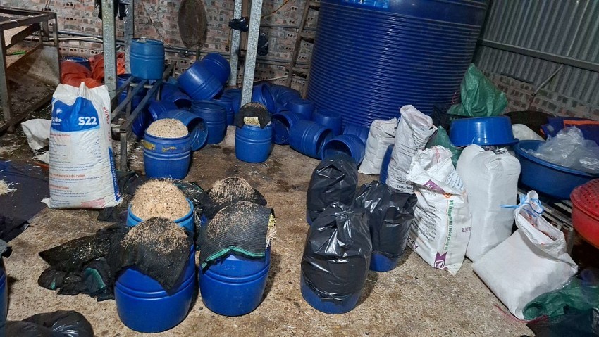 Lào Cai: Dùng hóa chất độc hại để sản xuất giá đỗ, một đối tượng bị khởi tố