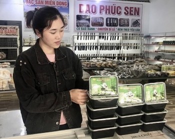 Thạch đen Cao Bằng - Hương vị mát lành giữa Miền Non nước