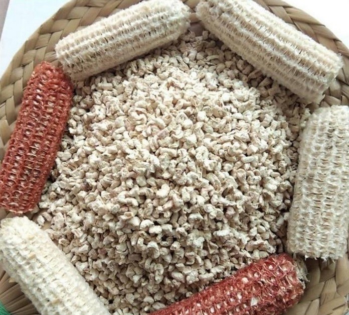 Từ rơm rạ đến nguyên liệu sinh học: Cuộc cách mạng xanh trong xử lý phế phẩm nông lâm nghiệp