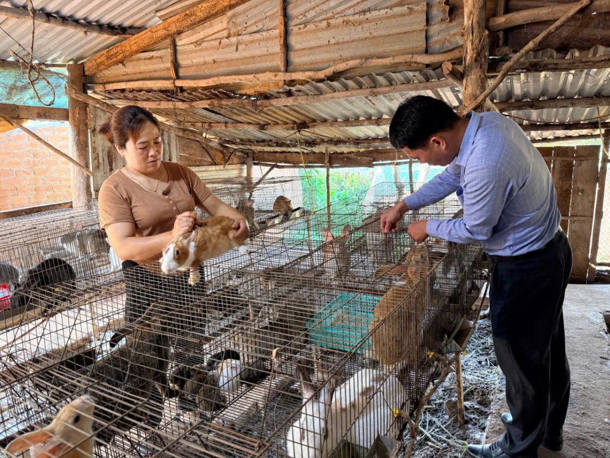 Người dân tộc mường Bùi Thị Dược phát triển kinh tế bằng nuôi thỏ