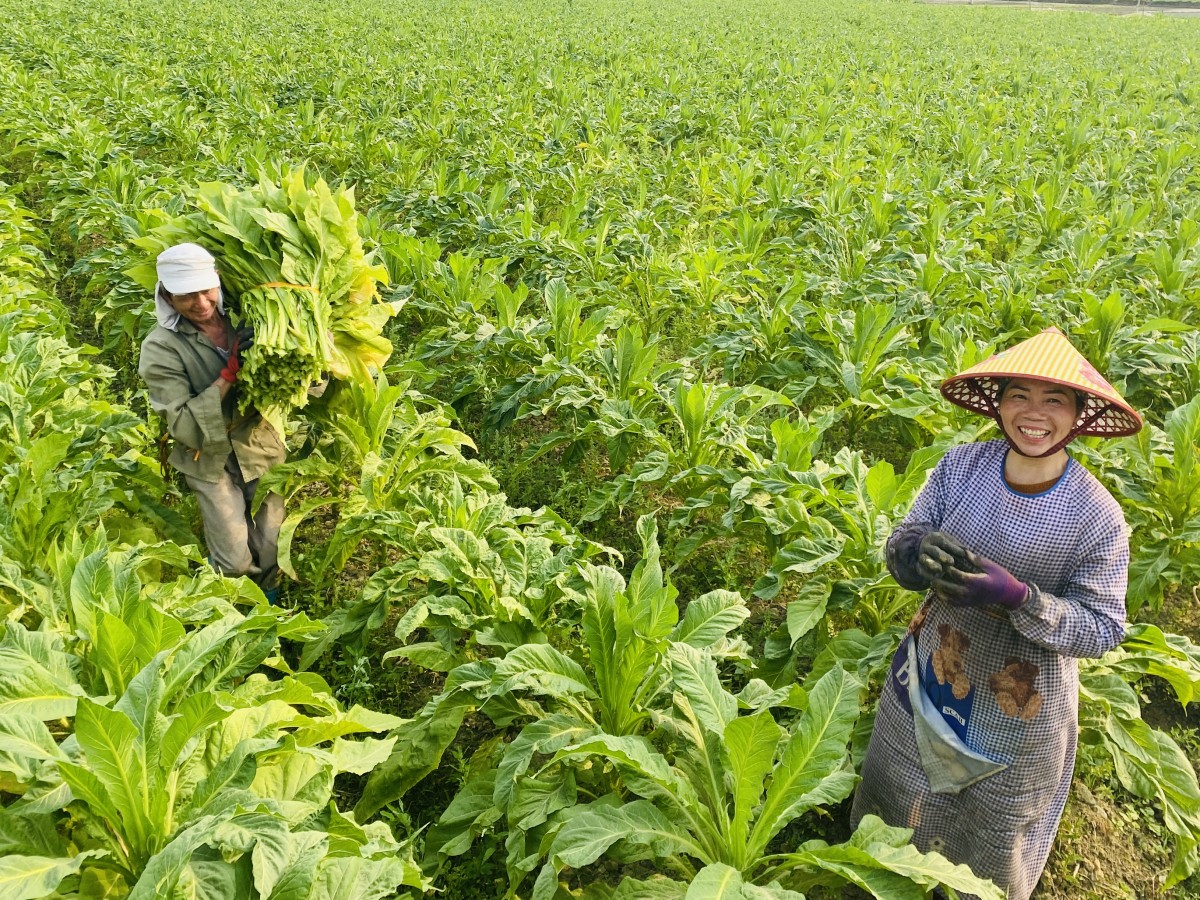 Cao Bằng: Quý I, mức tăng trưởng GRDP đạt 7,5%