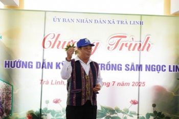 Đà Nẵng đầu tư 500 tỷ đồng phát triển nông nghiệp hữu cơ, ưu tiên khu vực miền núi