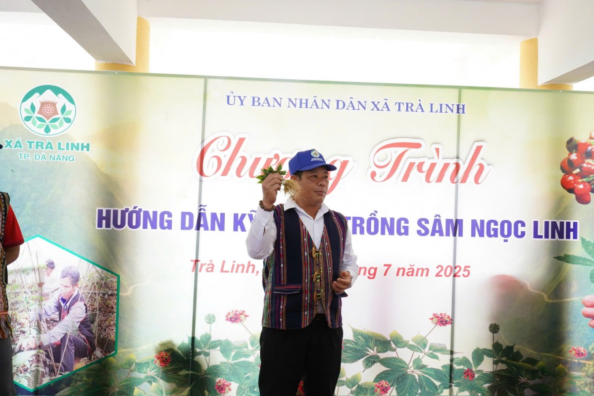 Đà Nẵng đầu tư 500 tỷ đồng phát triển nông nghiệp hữu cơ, ưu tiên khu vực miền núi