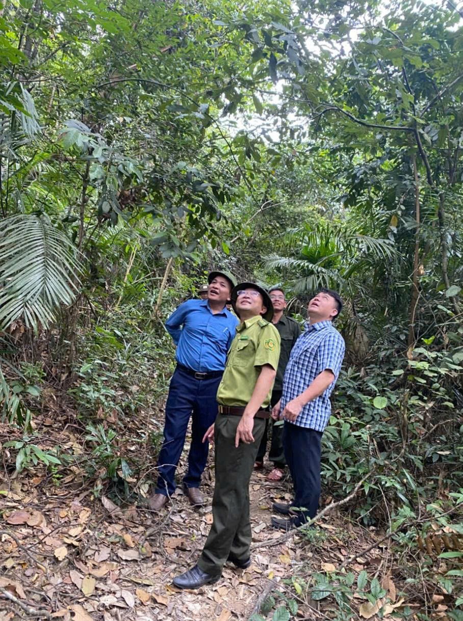 Quảng Trị: Khảo sát, hỗ trợ trồng rừng bản địa tại xã Minh Hóa