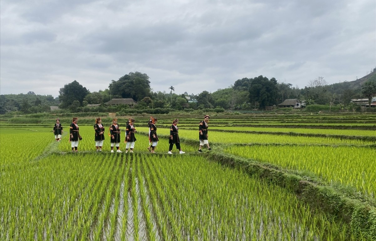 Chuyển đổi cơ cấu giống cây trồng, vật nuôi, hướng tới phát triển nông nghiệp bền vững