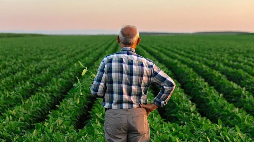 Thay đổi điều kiện hỗ trợ nông nghiệp tại Hoa Kỳ có thể làm tăng mức chi trả cho nông dân từ năm 2026