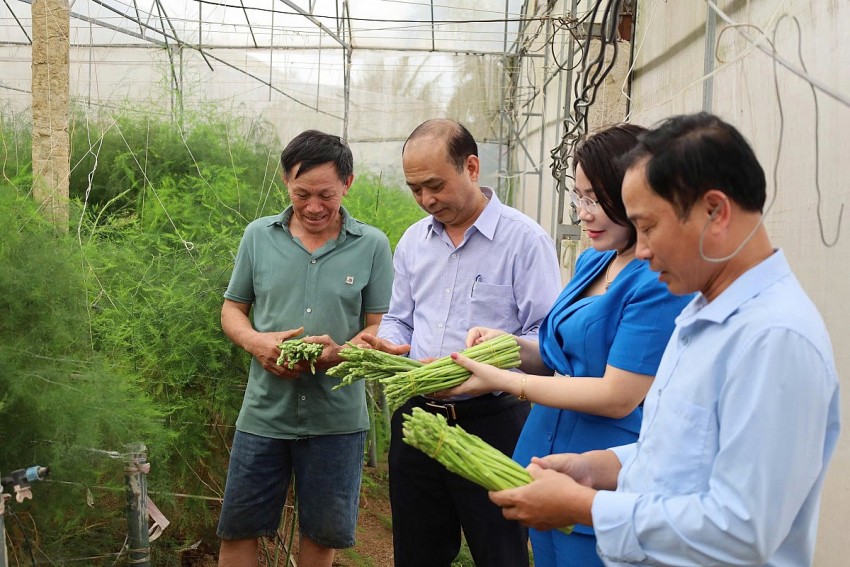 “Cánh tay nối dài” của tín dụng chính sách: Nhiều nông dân được thụ hưởng từ nguồn vốn vay ủy thác