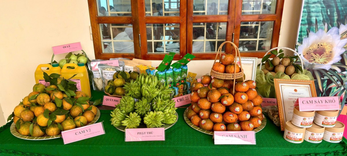 Chuyển đổi cơ cấu giống cây trồng, vật nuôi, hướng tới nông nghiệp bền vững