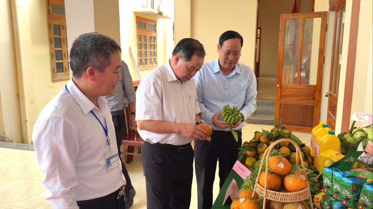 Chuyển đổi cơ cấu giống cây trồng, vật nuôi, hướng tới nông nghiệp bền vững