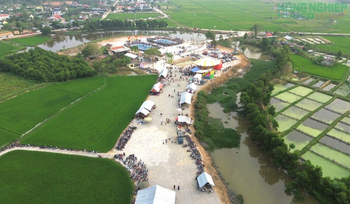 Trang trọng khai hội Đền Canh, xã Bình Minh lần thứ nhất năm 2026