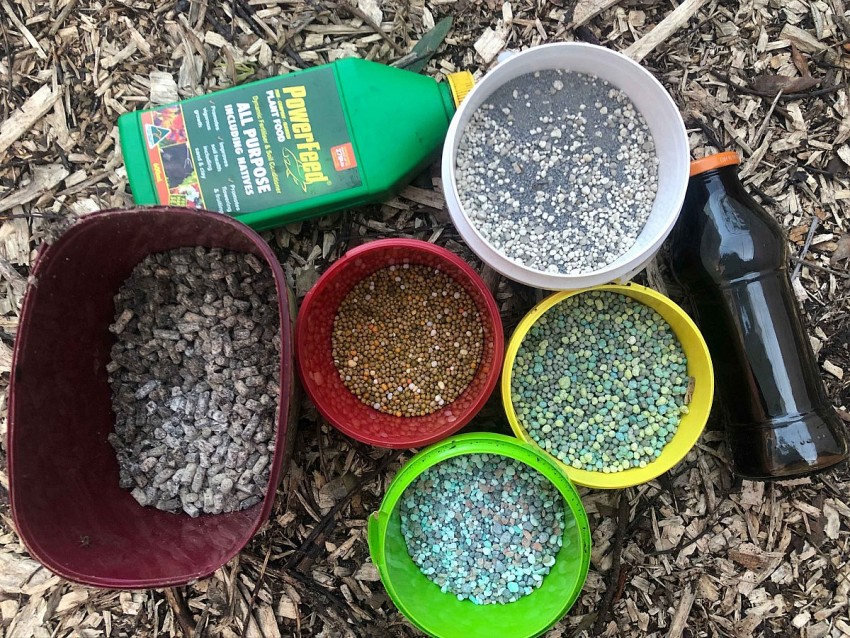 Giá phân bón tăng mạnh gây áp lực lớn lên chi phí sản xuất toàn cầu