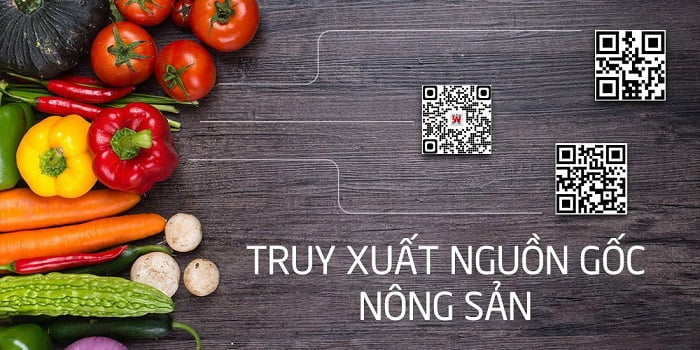 Truy xuất nguồn gốc thực phẩm từng bước xanh hóa tiêu dùng