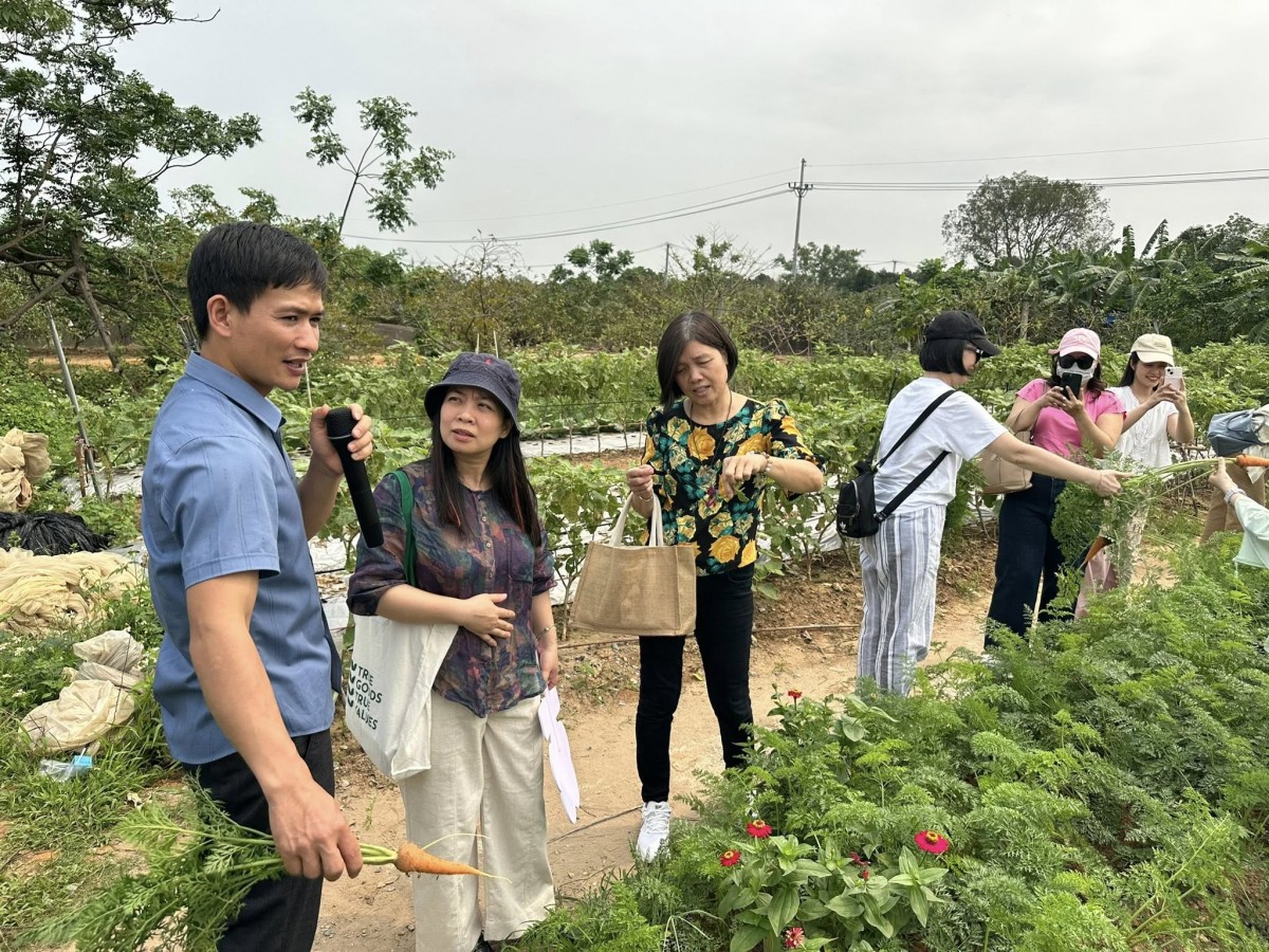 NIFAM góp phần thúc đẩy môi trường thực phẩm sạch tại Hà Nội