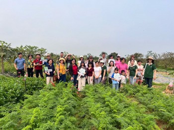 NIFAM góp phần thúc đẩy môi trường thực phẩm sạch tại Hà Nội