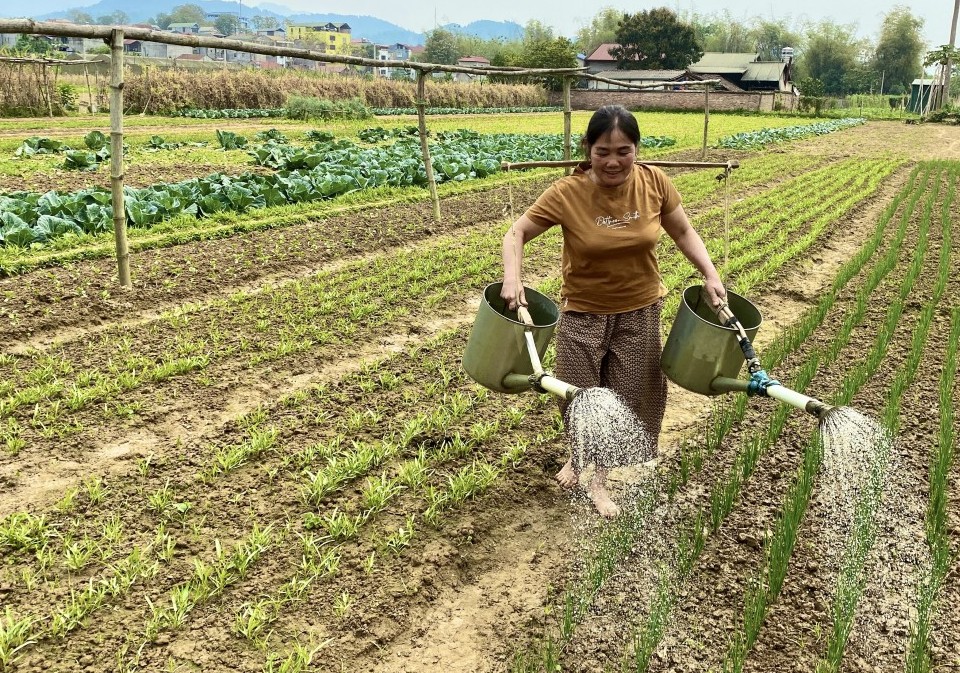Quỹ Hỗ trợ nông dân tỉnh Cao Bằng vận động được hơn 5,8 tỷ đồng