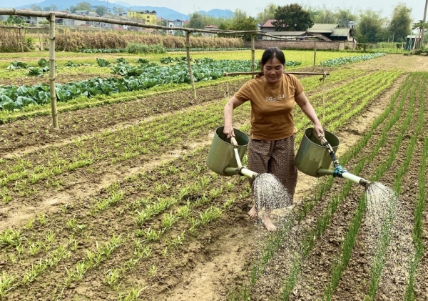 Quỹ Hỗ trợ nông dân tỉnh Cao Bằng vận động được hơn 5,8 tỷ đồng