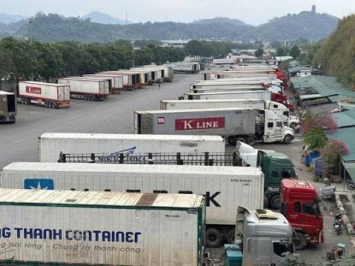 Chính phủ quyết định tạm ngưng hiệu lực áp dụng Nghị định số 46 về an toàn thực phẩm