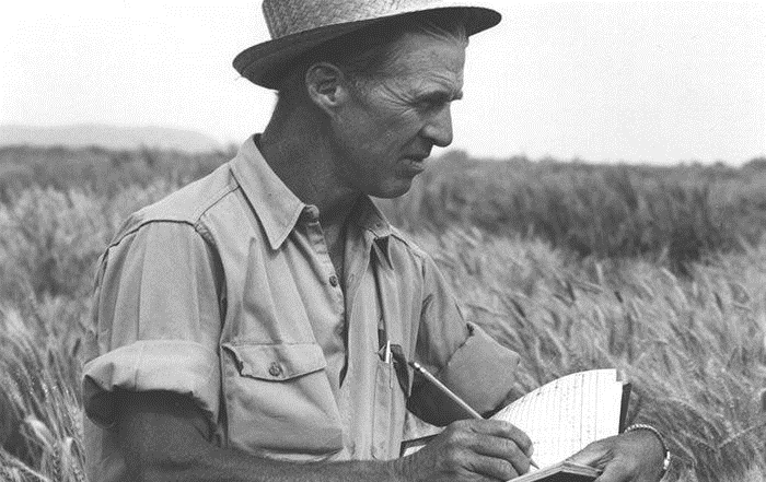 “Cha đẻ của Cách mạng Xanh” và di sản vĩ đại cho an ninh lương thực toàn cầu