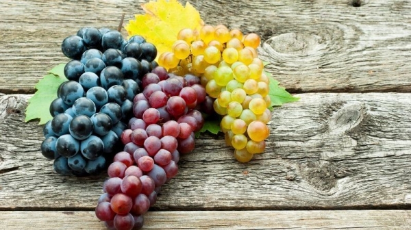 Nho tươi chứa hơn 1.600 hợp chất giúp tăng cường sức khỏe não bộ, tim mạch và đường ruột