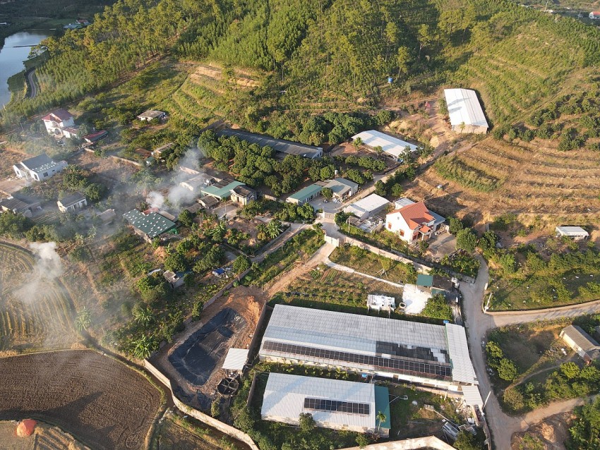 Trang trại lợn và gà của hộ gia đình Quỳnh Lan. Ảnh: Duy Tùng