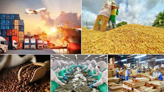 Nông nghiệp Việt Nam 