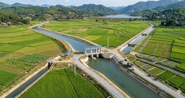 Tăng cường xử lý vi phạm hành lang bảo vệ công trình thủy lợi, bảo đảm an toàn mùa mưa lũ 2026