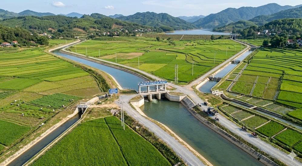 Tăng cường xử lý vi phạm hành lang bảo vệ công trình thủy lợi, bảo đảm an toàn mùa mưa lũ 2026