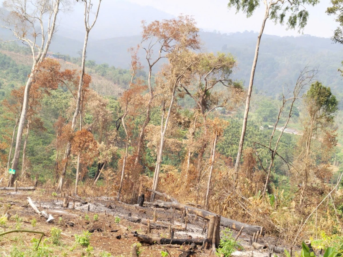 Tăng cường triển khai các biện pháp phòng cháy, chữa cháy rừng trong cao điểm nắng nóng