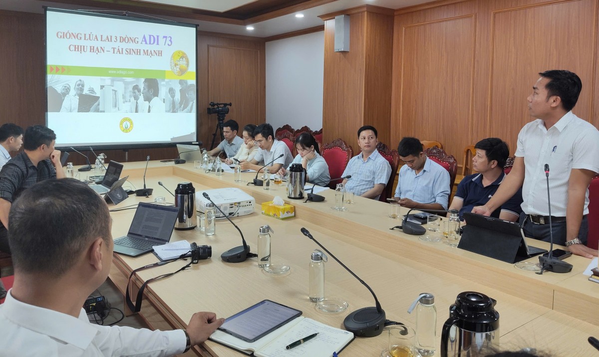 Quảng Trị: Tìm giải pháp tổ chức sản xuất trên diện tích đất lúa bỏ hoang trong vụ hè-thu năm 2026