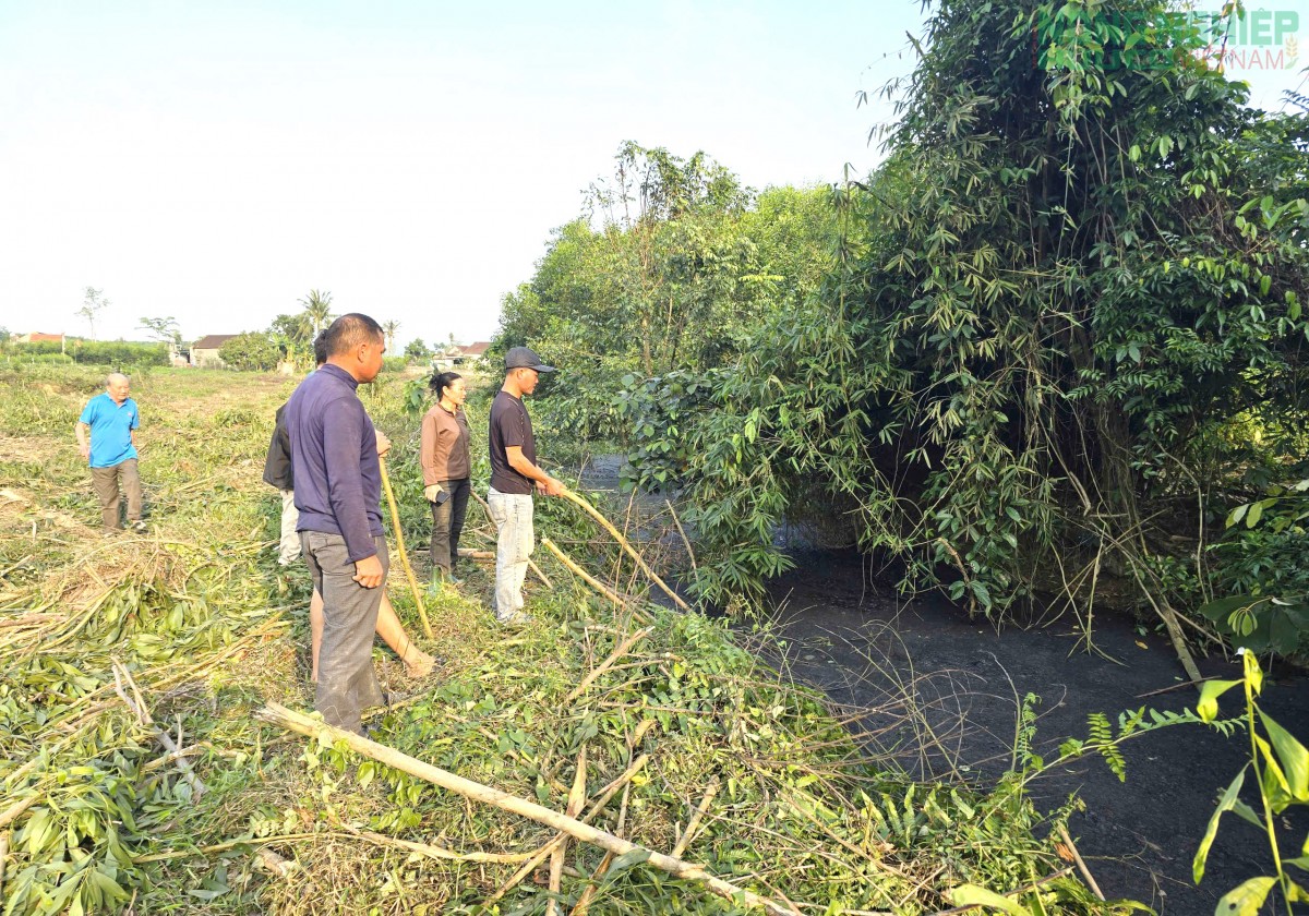 Nghệ An: Xử phạt 2 hộ dân chăn nuôi lợn để nước thải chảy ra khe suối