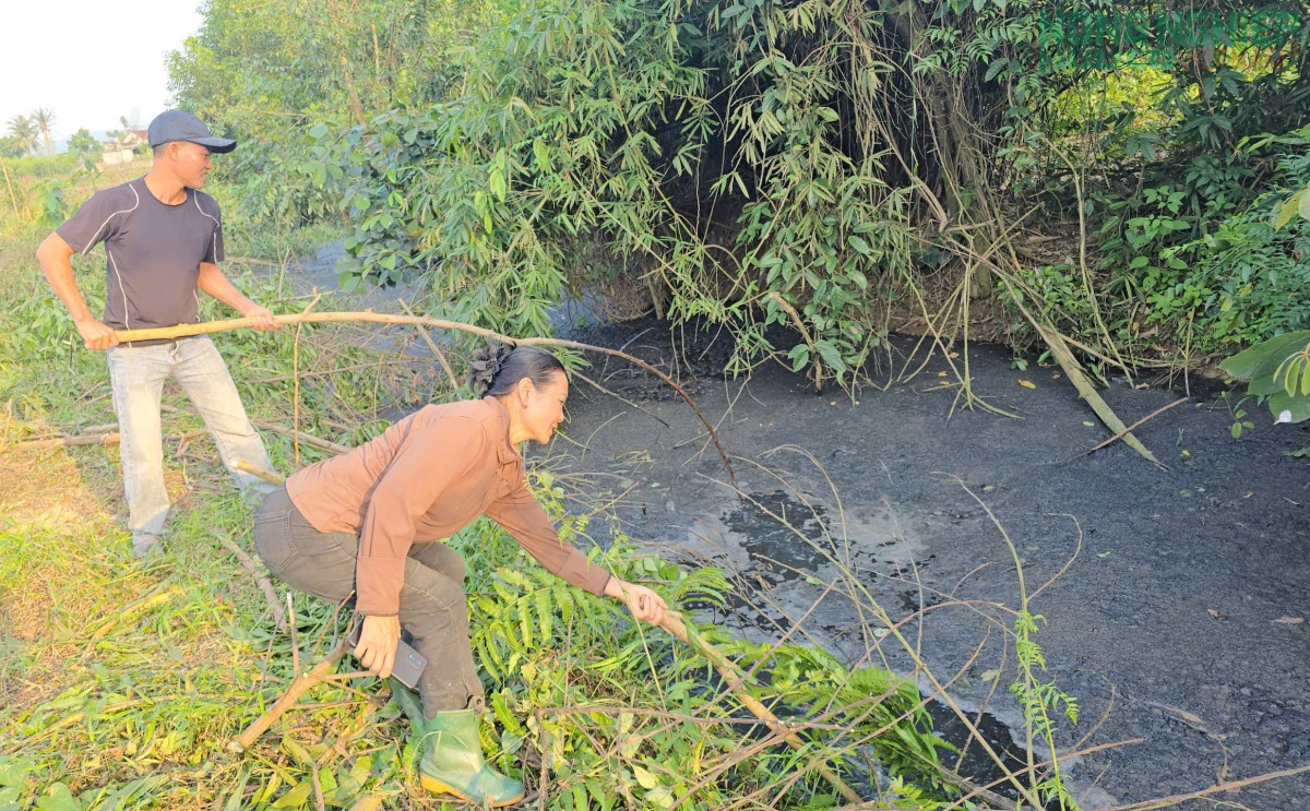 Nghệ An: Xử phạt 2 hộ dân chăn nuôi lợn để nước thải chảy ra khe suối