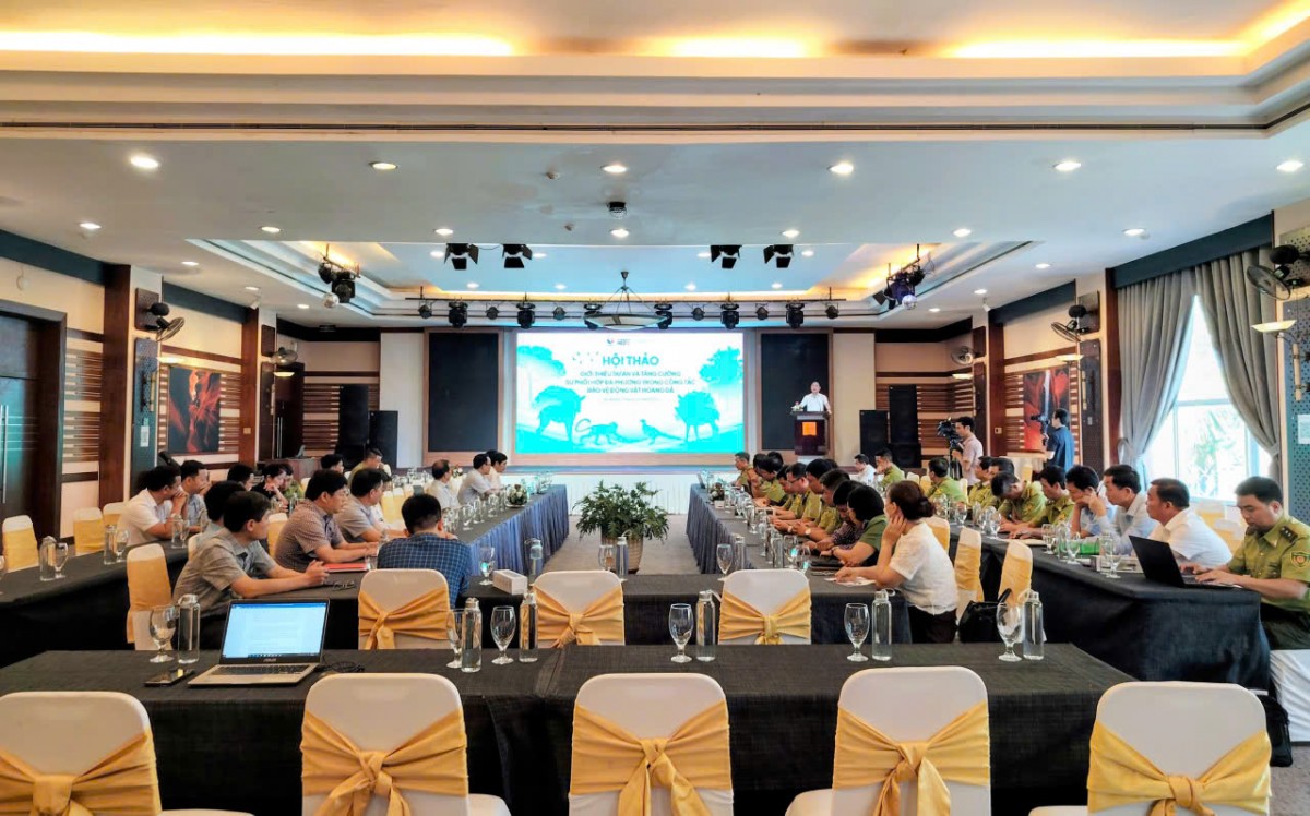 Quảng Trị: Tăng cường sự phối hợp đa phương trong công tác bảo vệ động vật hoang dã