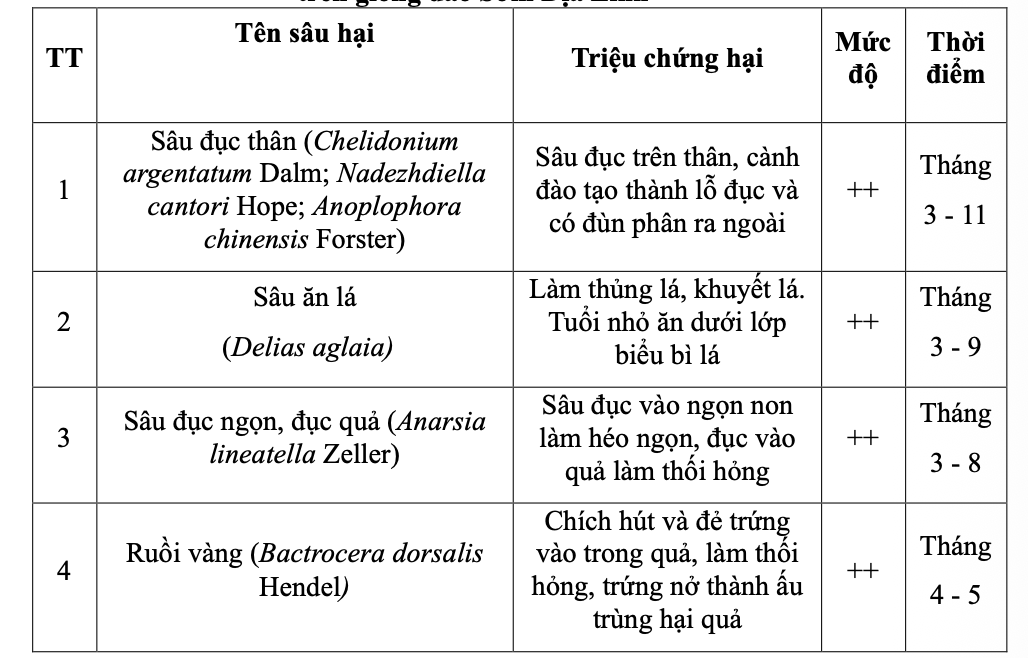 Đặc điểm hình thái giống đào Sớm Địa Linh tỉnh Thái Nguyên