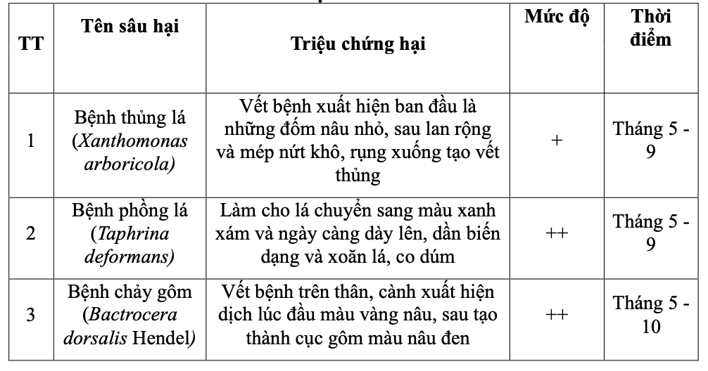 Đặc điểm hình thái giống đào Sớm Địa Linh tỉnh Thái Nguyên