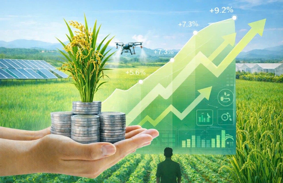 Nông nghiệp xanh không còn là khẩu hiệu