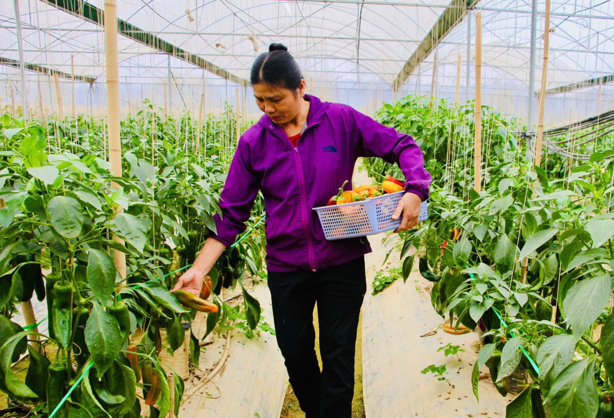 Truyền thông hiệu quả an toàn thực phẩm: Thúc đẩy du lịch xanh phát triển bền vững