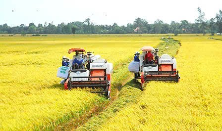 Nông nghiệp xanh không còn là khẩu hiệu
